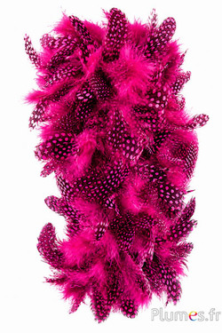 Boa di piume di faraona - Ø 10-12 cm - fucsia